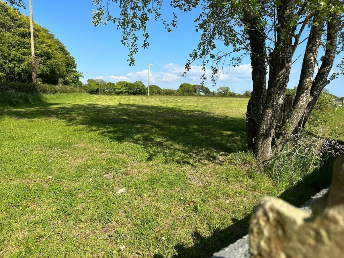Pheasants Nook * Narberth